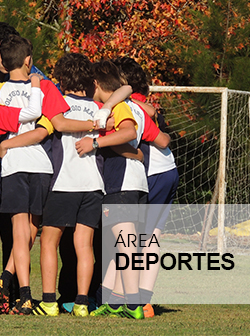 sección área deportes